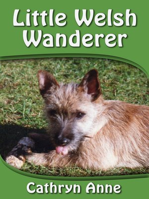 cover image of Little Welsh Wanderer